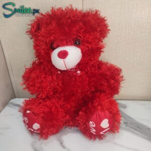 Red Love Teddy