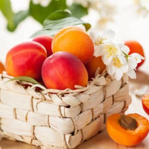 Apricots basket