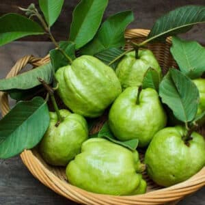Guava basket